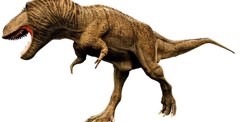 A T. rex rövid mellső végtagjaira is segíthet magyarázatot találni egy nemrég felfedezett őshüllőmaradvány